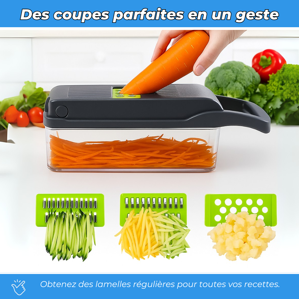 Hachoir professionnel - Coupe légumes 16 en 1